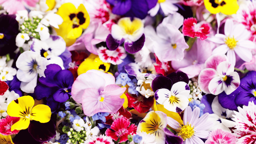 Home Bar Essentials: Edible Flowers